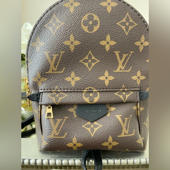 Louis Vuitton Palm Springs Mini - Picture 12 of 16